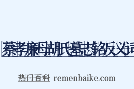 蔡孝廉母胡氏墓志铭反义词是什么意思的图片